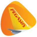 Pegasus Airlines logo